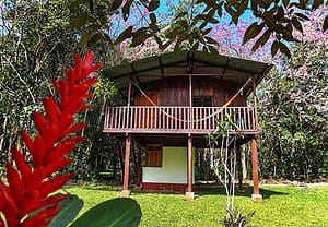 finca ixobel eco hotel poptun guatemala treehouse